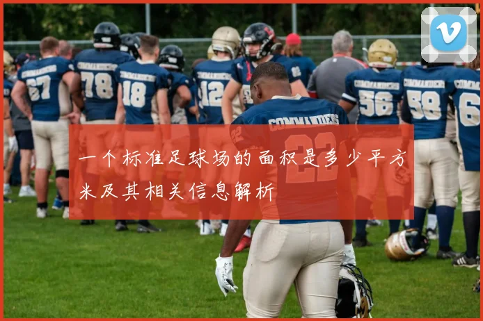 一个标准足球场的面积是多少平方米及其相关信息解析