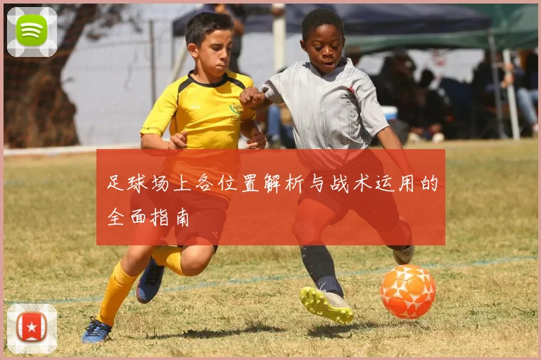 足球场上各位置解析与战术运用的全面指南
