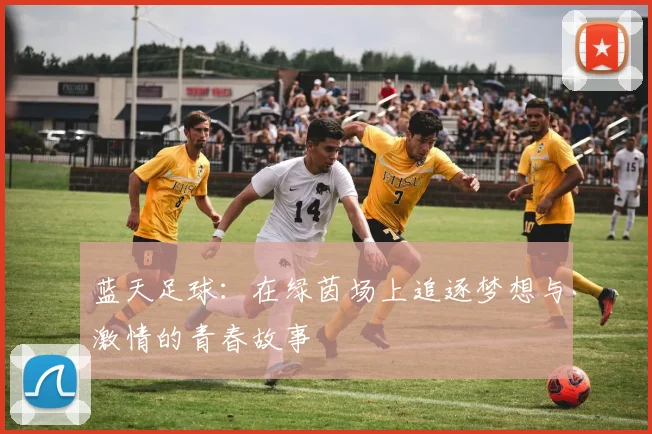 蓝天足球：在绿茵场上追逐梦想与激情的青春故事